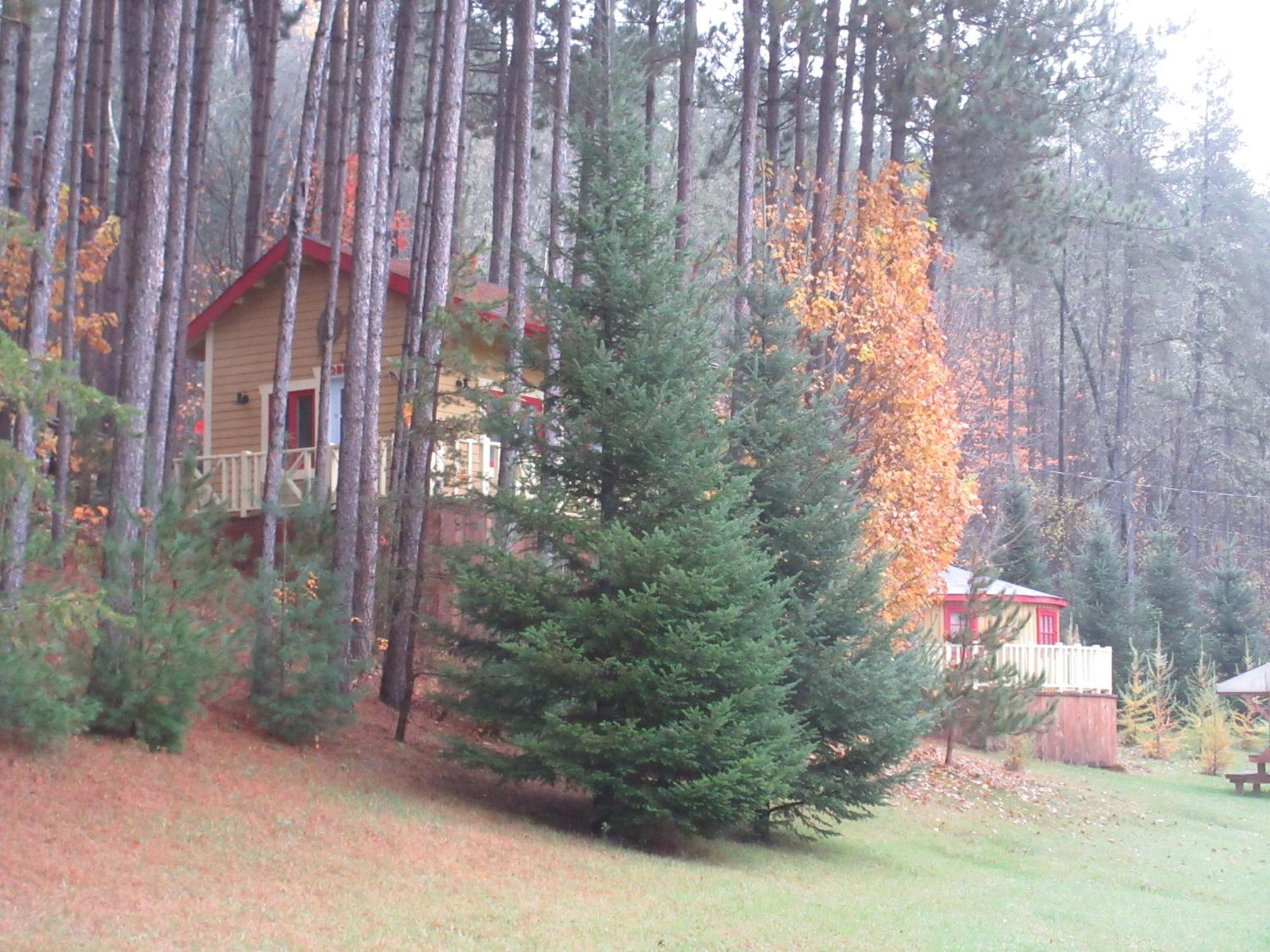 La Maison Sous Les Arbres Saint Roch de Mekinac Экстерьер фото