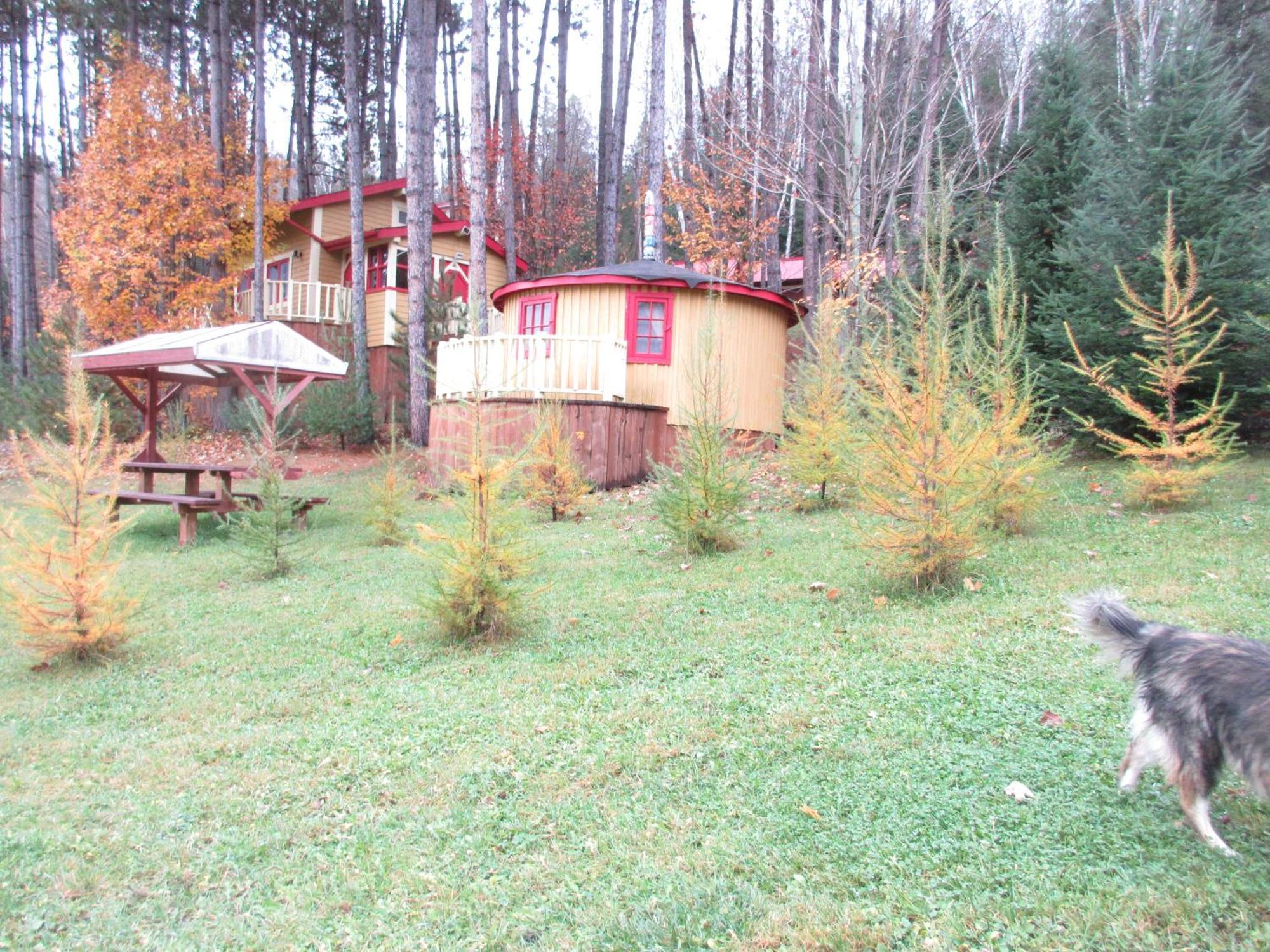 La Maison Sous Les Arbres Saint Roch de Mekinac Экстерьер фото