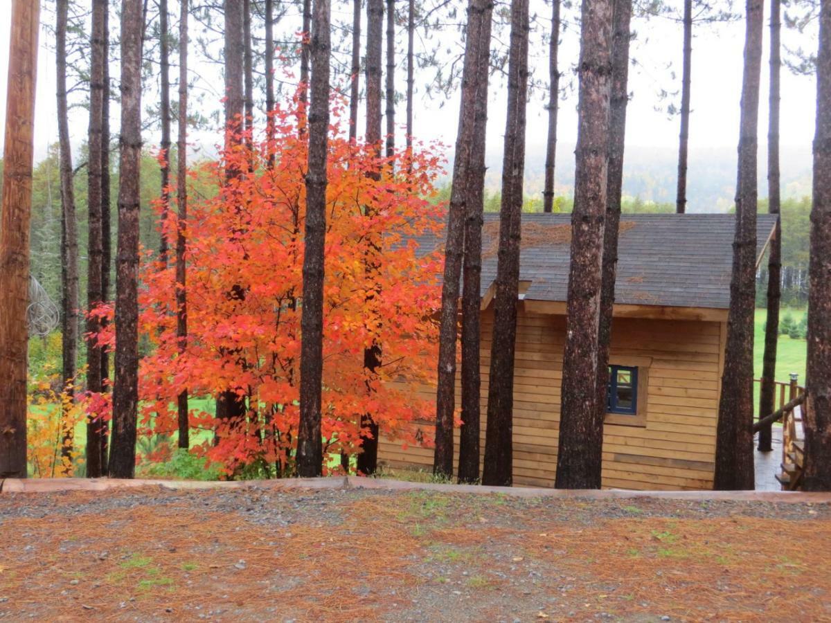 La Maison Sous Les Arbres Saint Roch de Mekinac Экстерьер фото