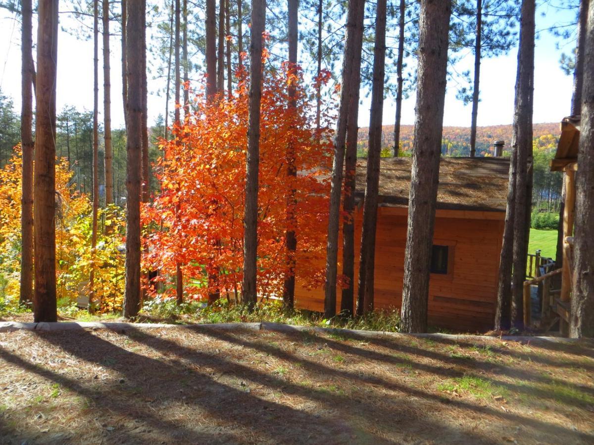 La Maison Sous Les Arbres Saint Roch de Mekinac Экстерьер фото