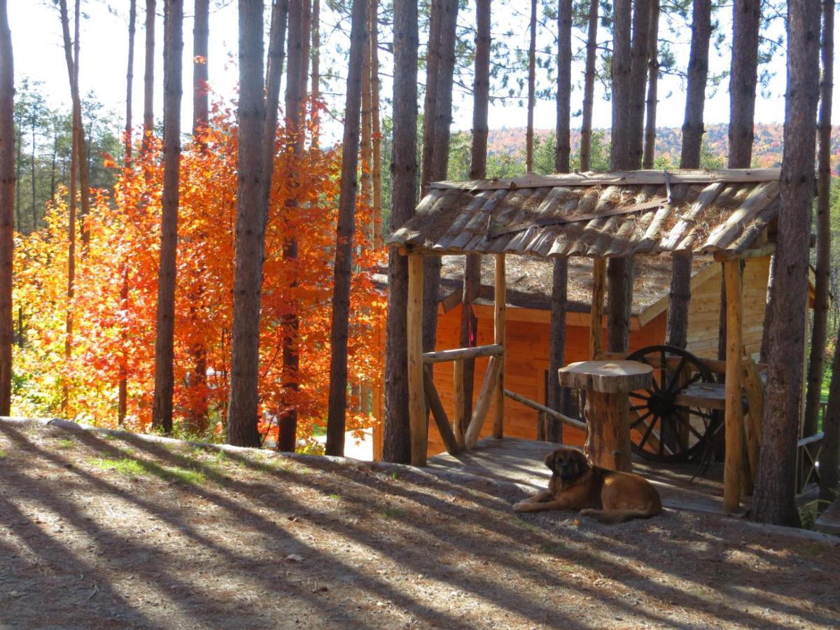 La Maison Sous Les Arbres Saint Roch de Mekinac Экстерьер фото