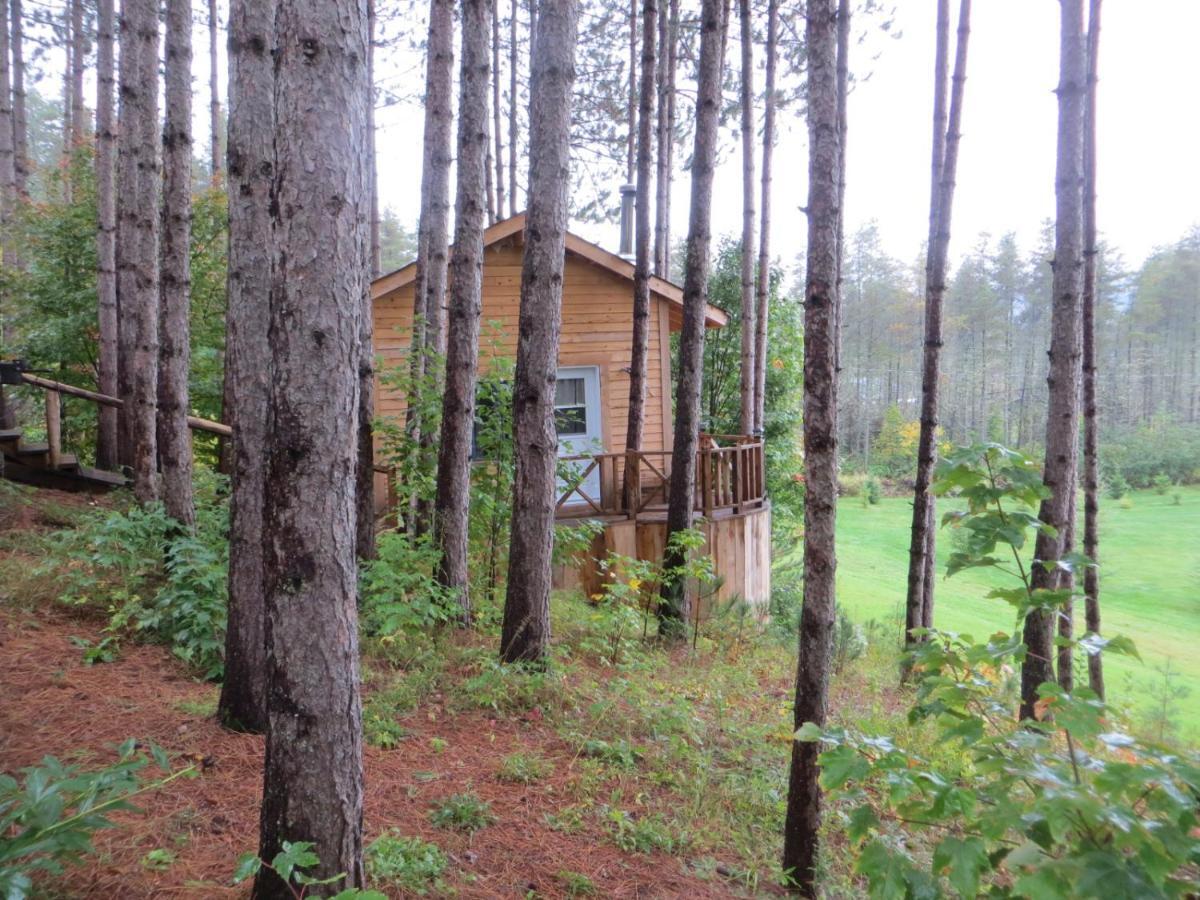 La Maison Sous Les Arbres Saint Roch de Mekinac Экстерьер фото
